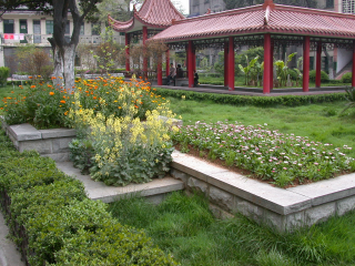 校园风光 - 图片新闻 - 景德镇二中理综工作室 -