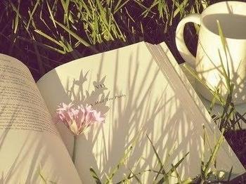 关于农村小学语文课堂教学有效性与实践的毕业论文题目范文