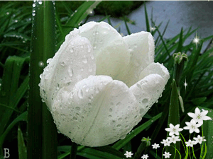 关于初中美术课堂教学心得的毕业论文模板范文